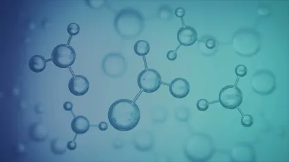 Biotechnológia és élettudományok