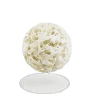Hungarian dental implant model